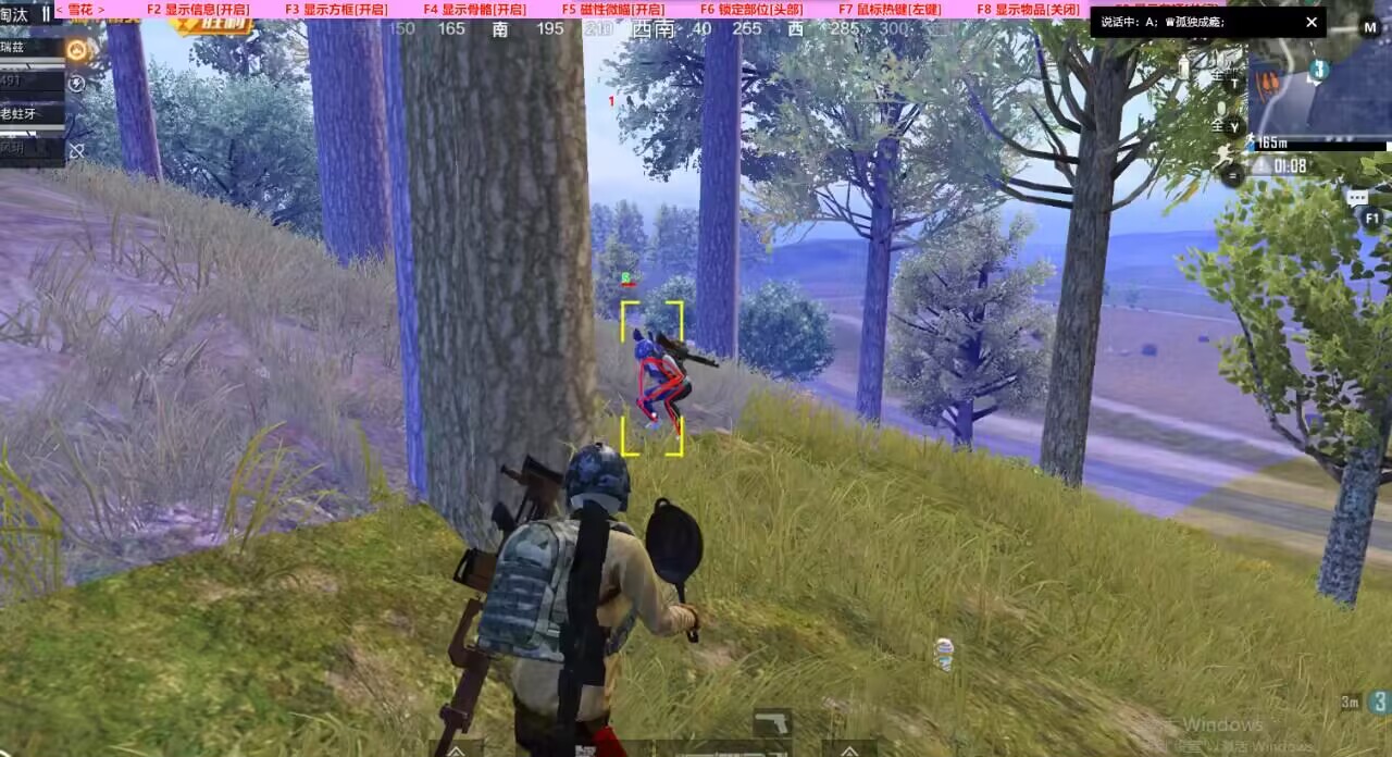 和平精英辅助【火焰鸟一体直装】人物透视 无后坐力 开枪自瞄 开车飞天 飞天跳伞 皮肤美化 物资显示 队伍信息